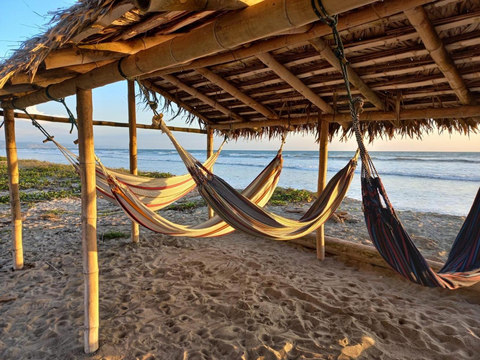 Canoa South Beach Zewnętrze zdjęcie